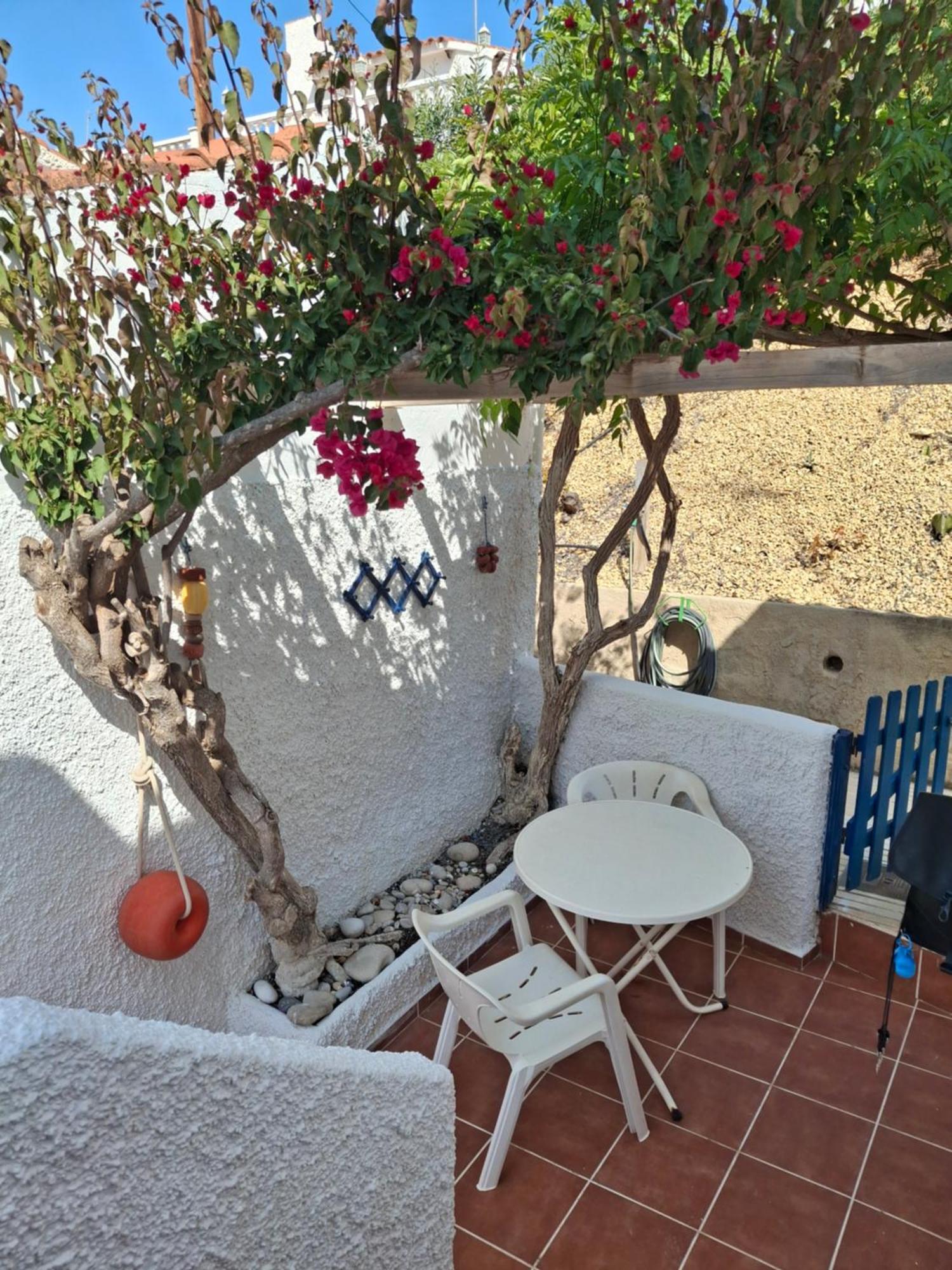 Bungalow Casiopea Internet 300 Mb Sat Smarttv El Campello Exteriér fotografie